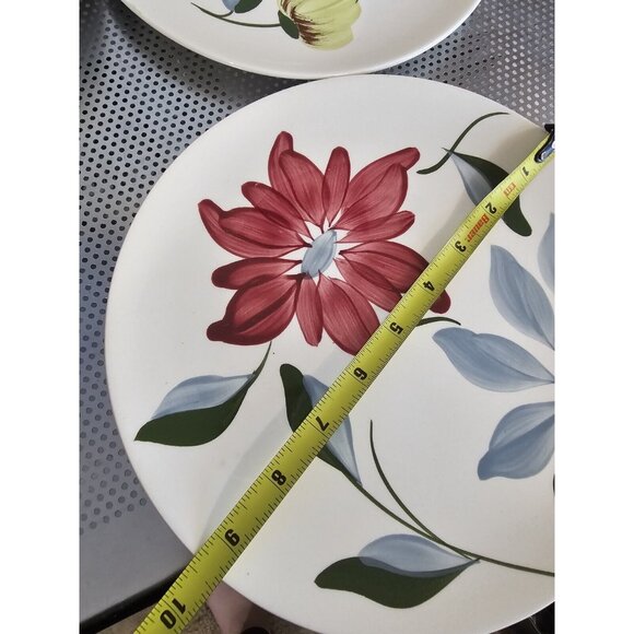 Blue Ridge Southern Potteries Vintage Set Of 4 Dinner Plates Floral 9.5" - Picture 6 of 7